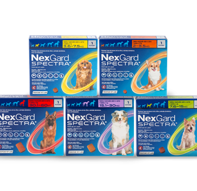 Nexgard Spectra