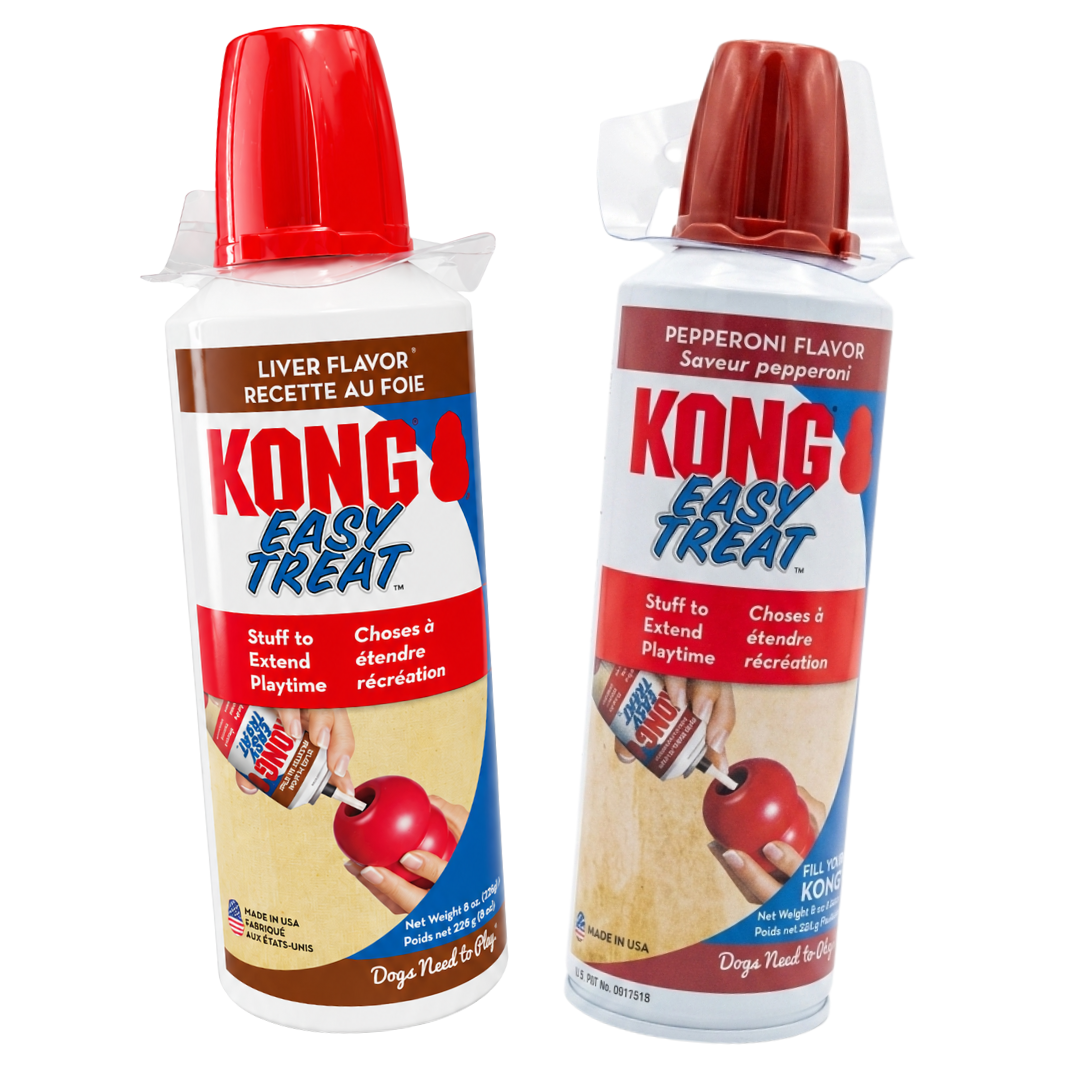 kong - Easy Treat