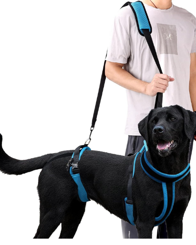 ELEDUME - Arnés de elevación para perros