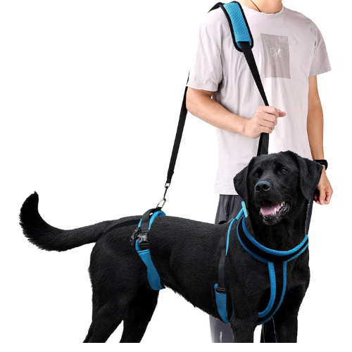 ELEDUME - Arnés de elevación para perros