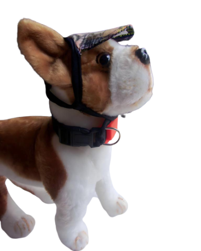 Visera típica