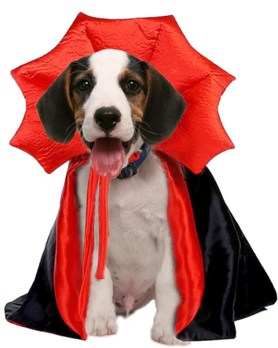 Disfraz de vampiro