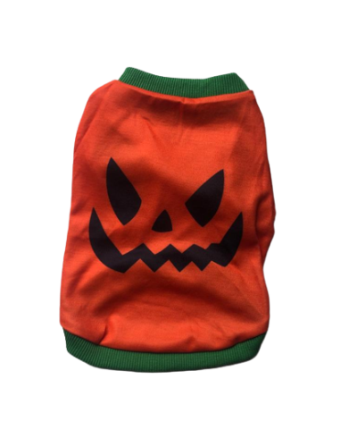 PIayera de Calabaza