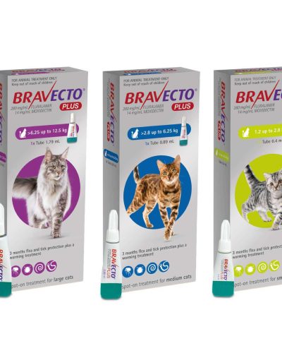 Bravecto para gatos