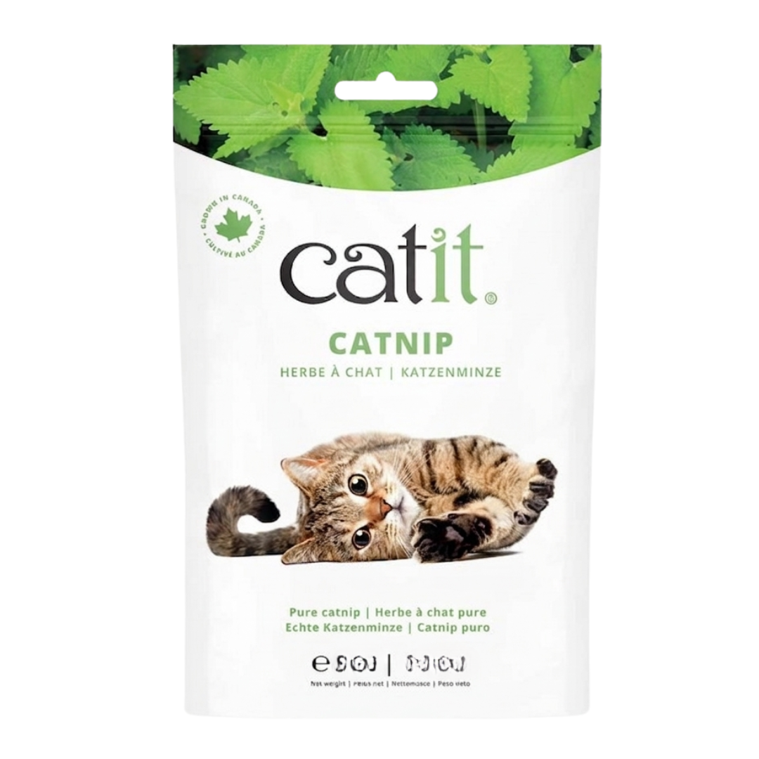 Catit - Hierba Gatera