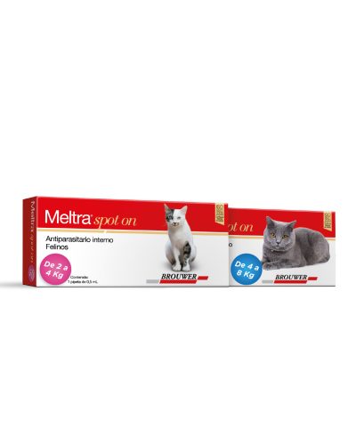 Meltra Spot On - Desparasitante interno de amplio espectro para gatos