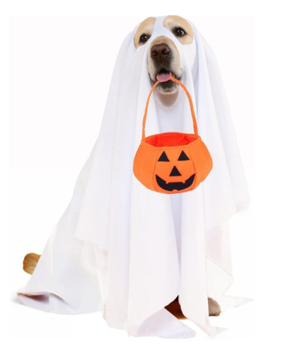 Disfraz de fantasma