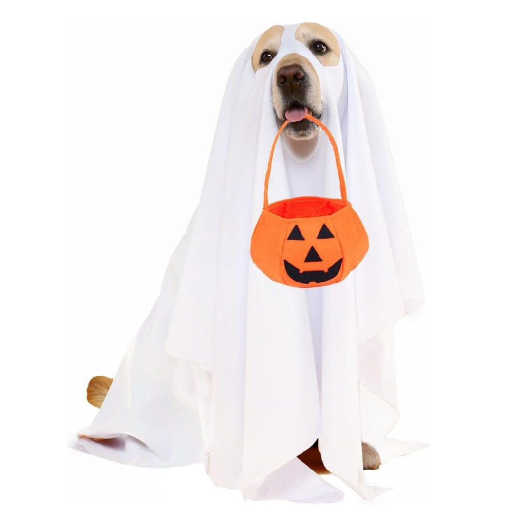 Disfraz de fantasma