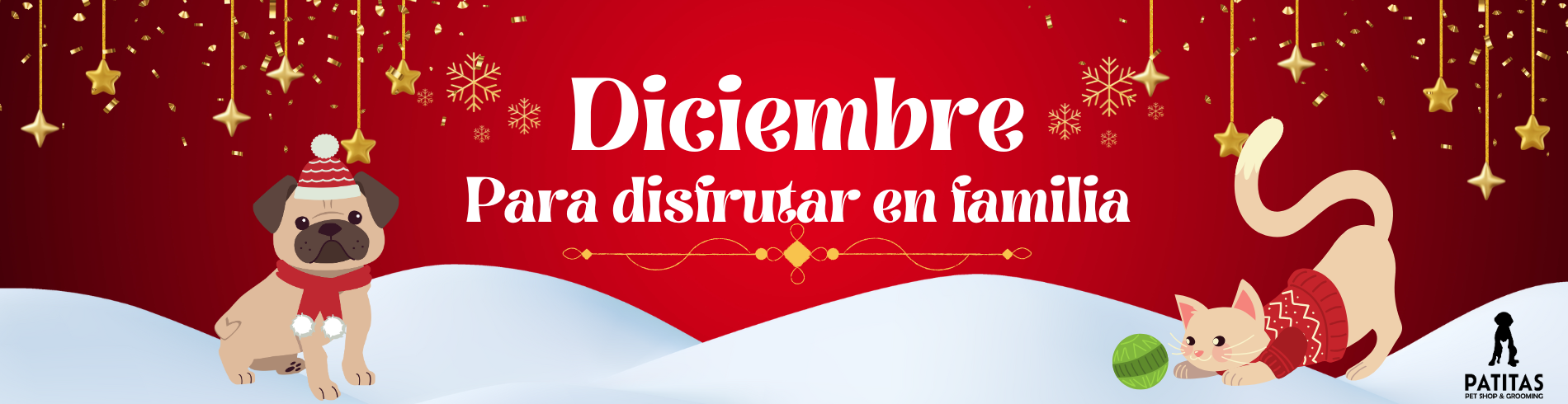 Diciembre 2024