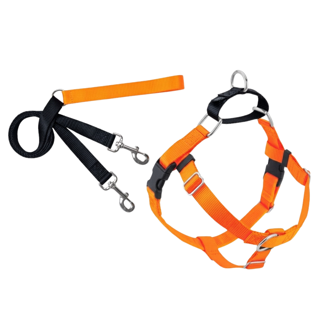 2Hounds Design - Arnés y Correa L