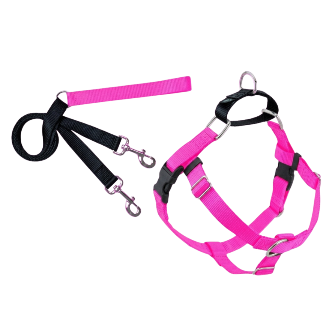 2Hounds Design - Arnés y Correa Rosado Neón L