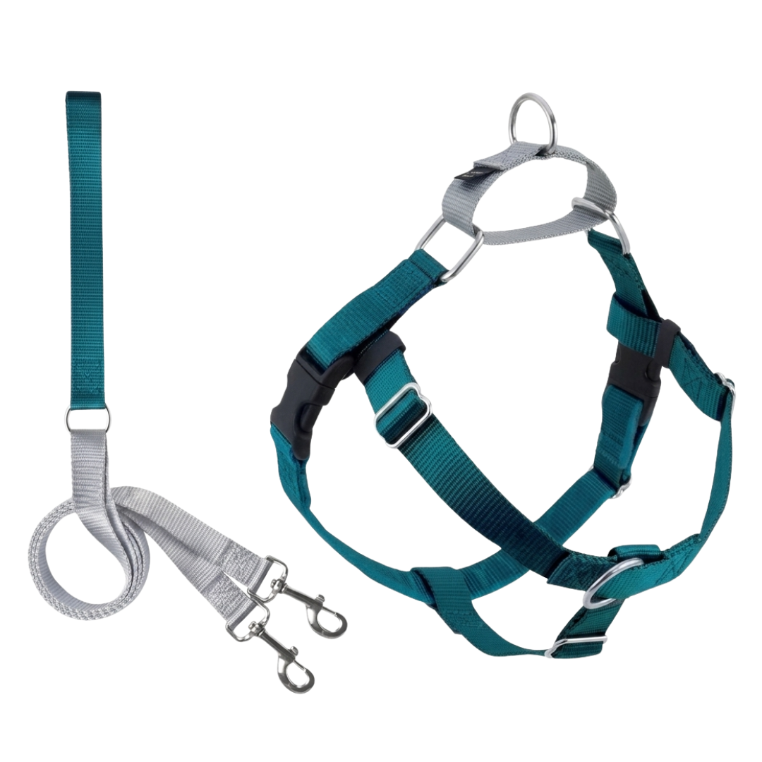 2Hounds Design - Arnés y Correa Aqua M