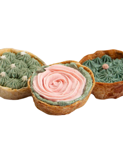 KANI - 3 Pack Tartaletas