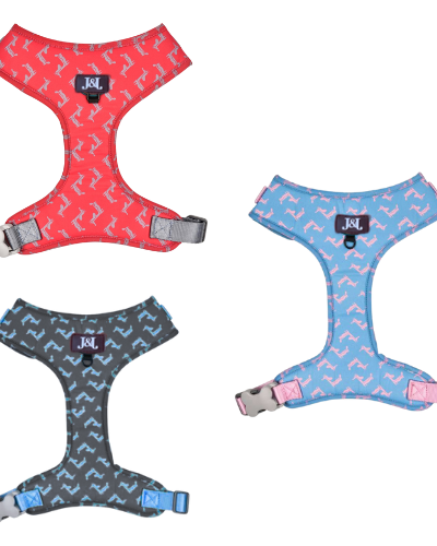 Pechera Talla XL