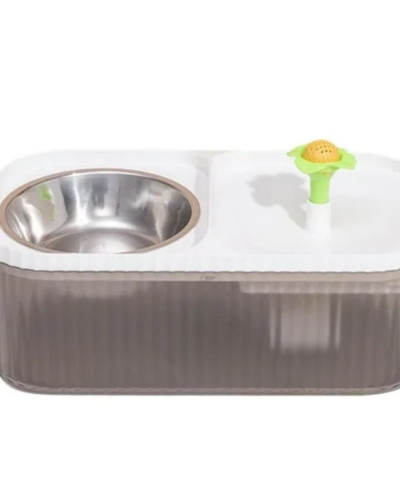 Fuente de agua y Plato para comida