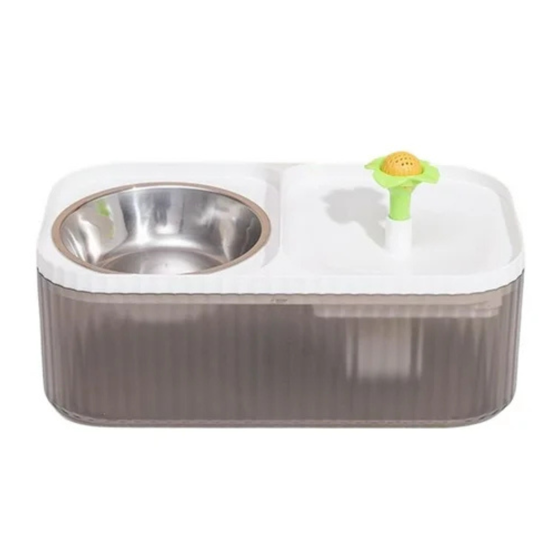 Fuente de agua y Plato para comida