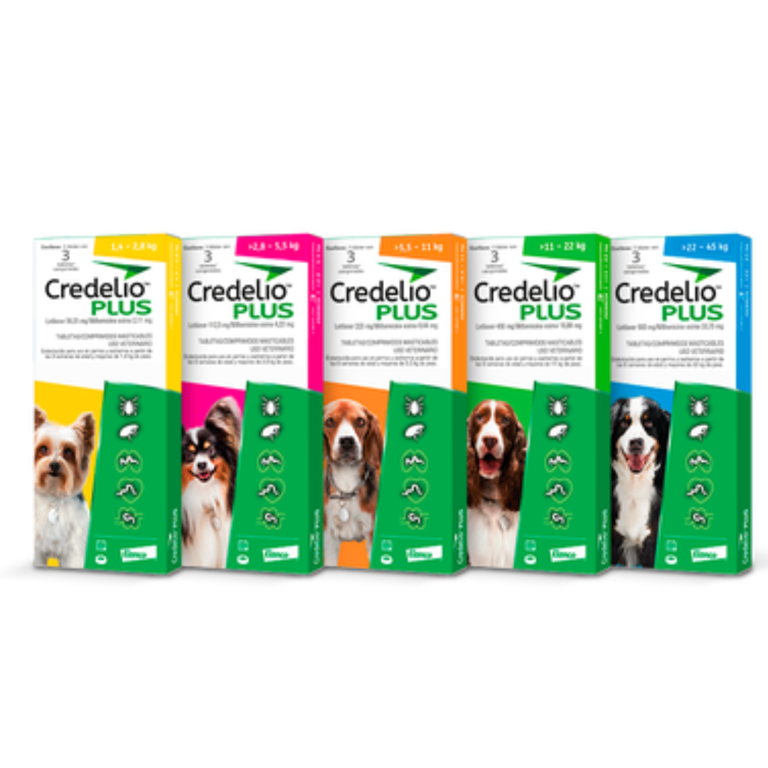 Credelio Plus