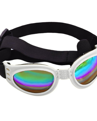 Lentes de sol para perros