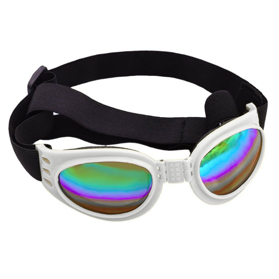 Lentes de sol para perros