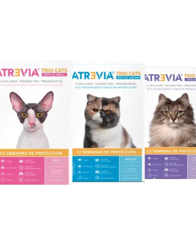 Atrevia Trio Cats Spot On