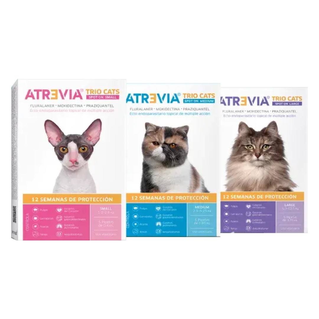 Atrevia Trio Cats Spot On