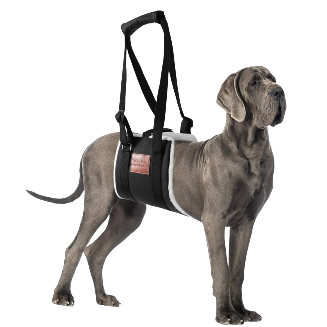 S-ETOVUS - Soporte Para Levantar Perros