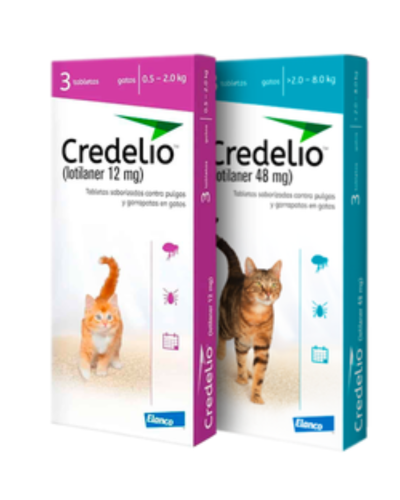 Credelio Para Gatos