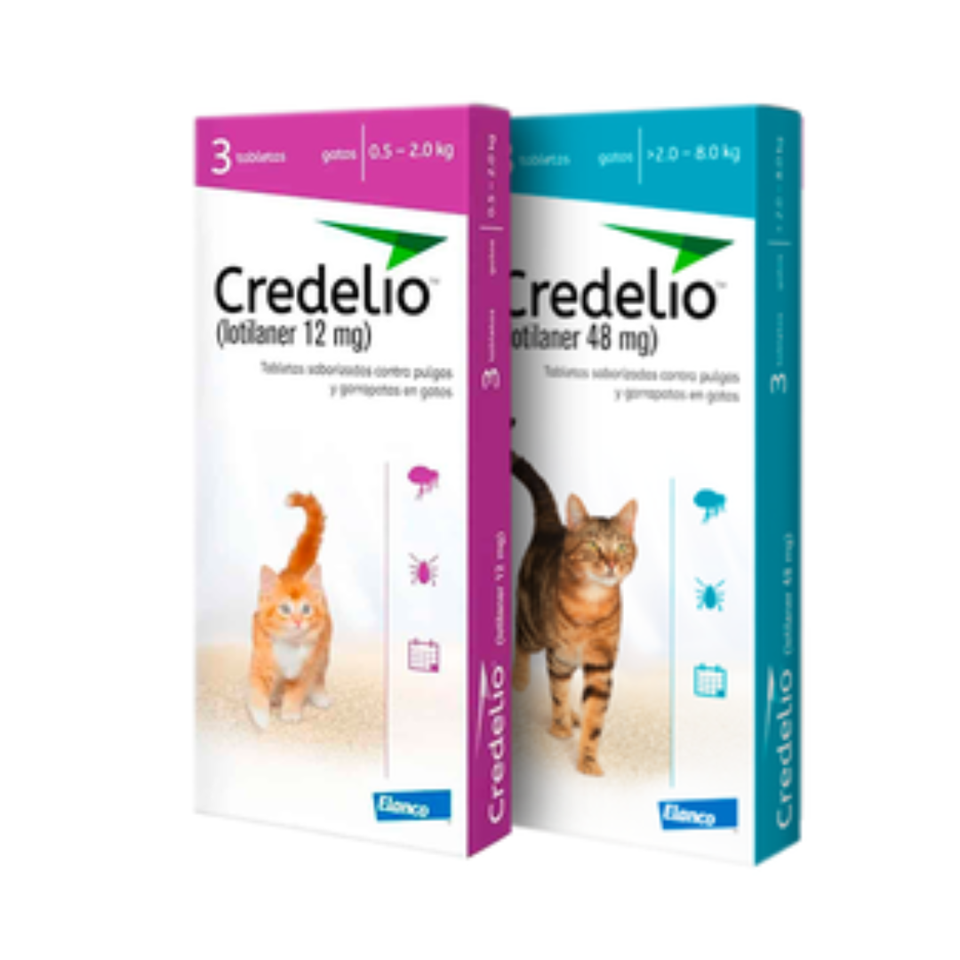 Credelio Para Gatos