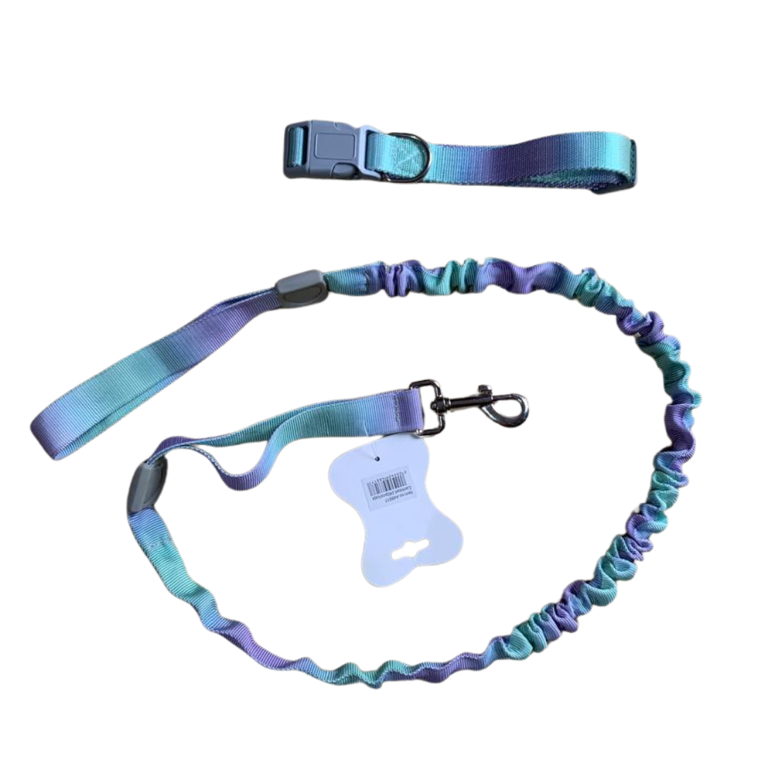 Collar y correa color Pastel