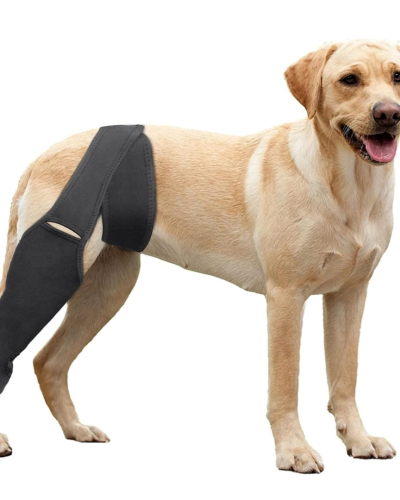 Teengo - Rodillera para perro Talla M