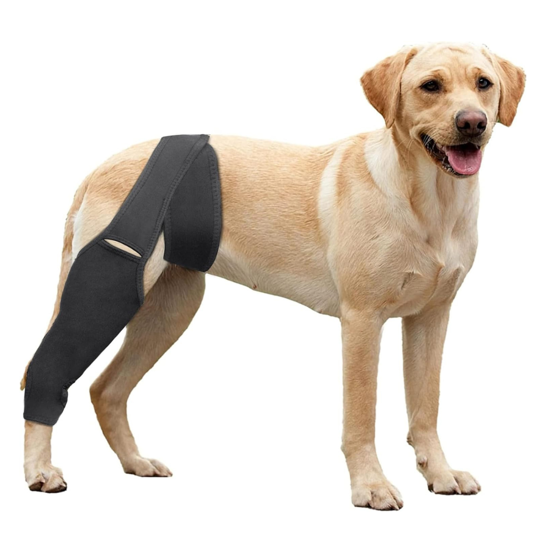 Teengo - Rodillera para perro Talla M