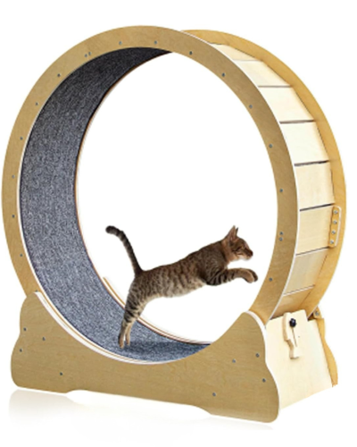 Gimnasio para Gatos