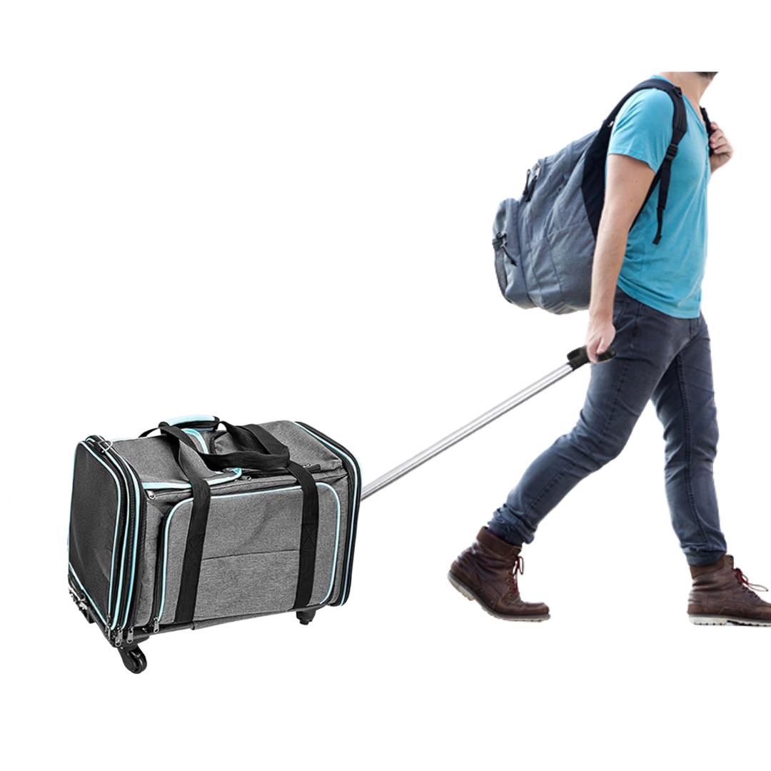 Transportadora con ruedas