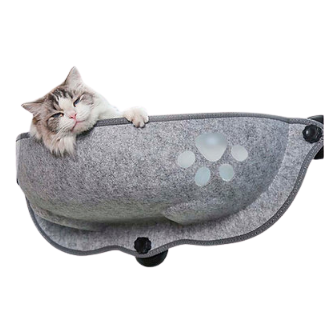 Cama Para Gato Con Ventosas