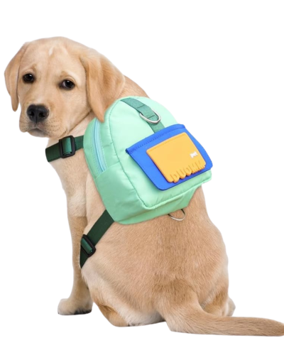 Arnés con Mochila
