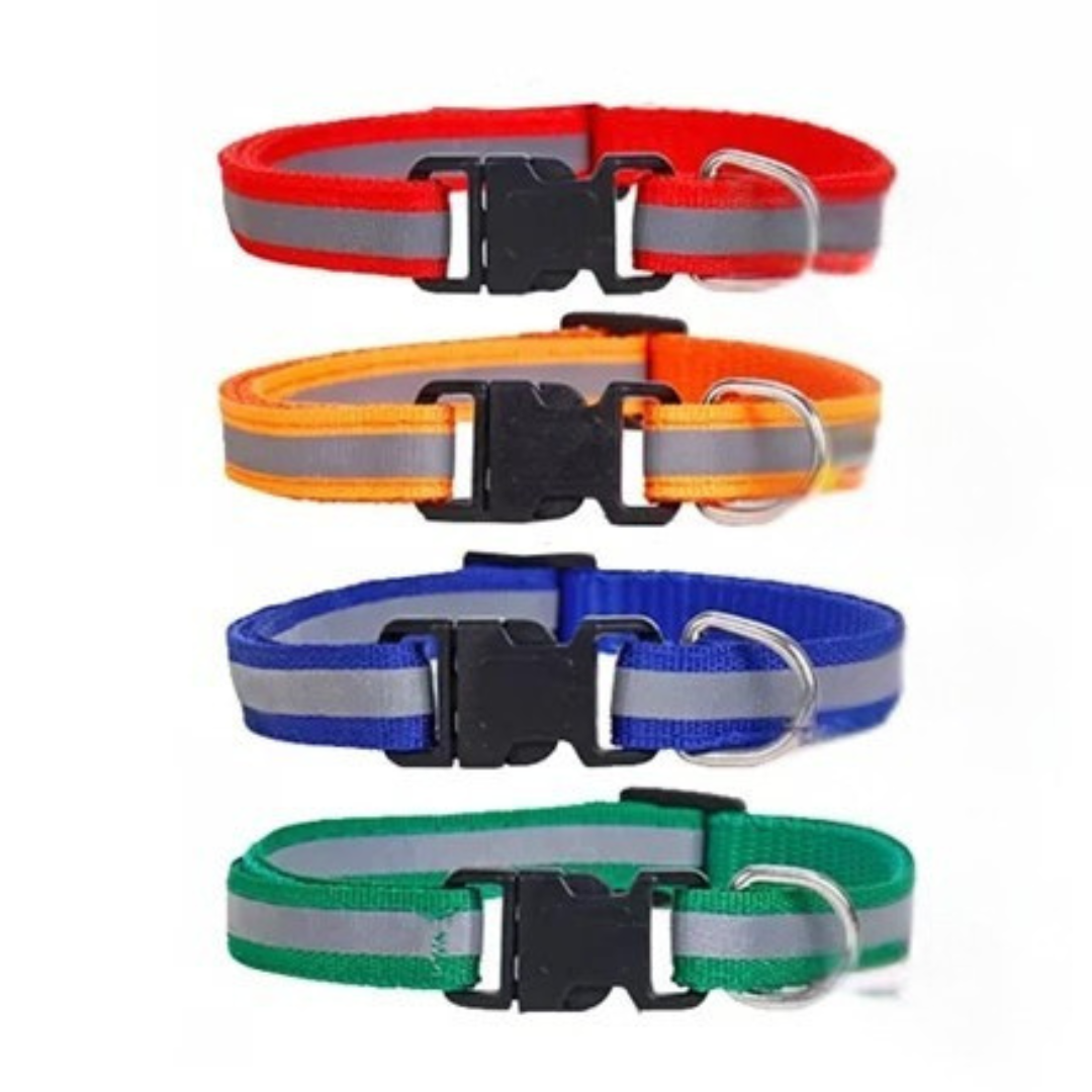 Collar con Reflectivo