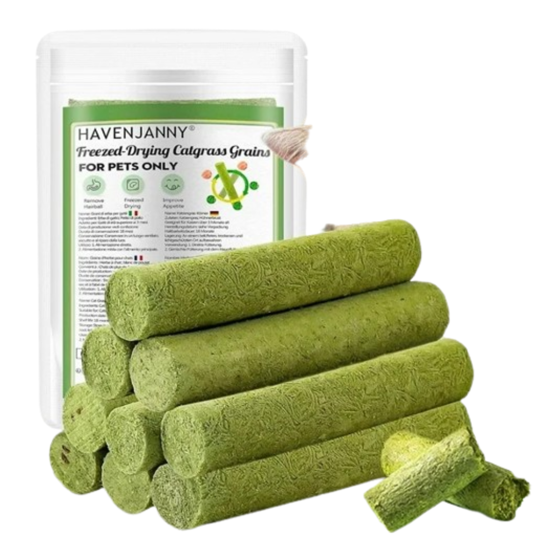HavenJanny - Cat Grass