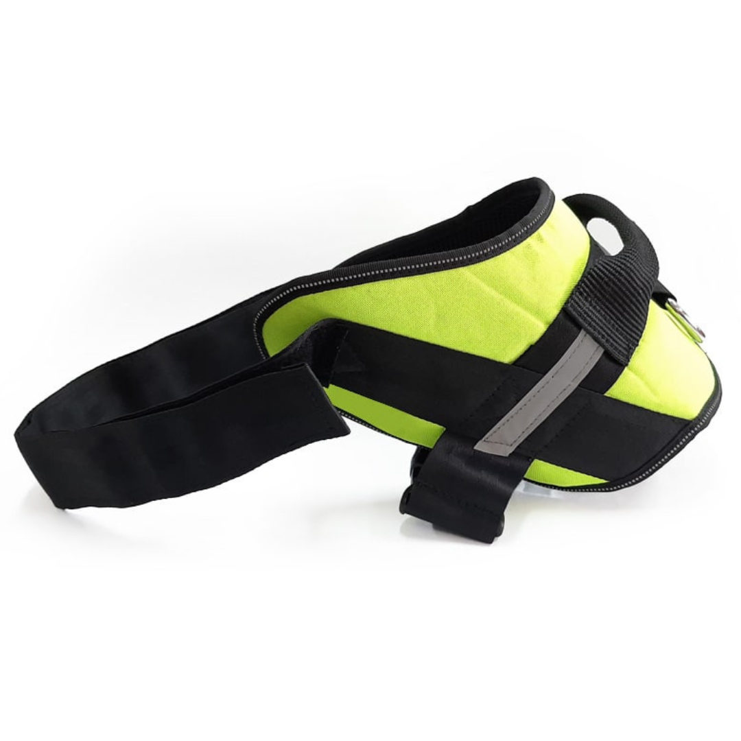 Pet Safety Walking Harness Verde