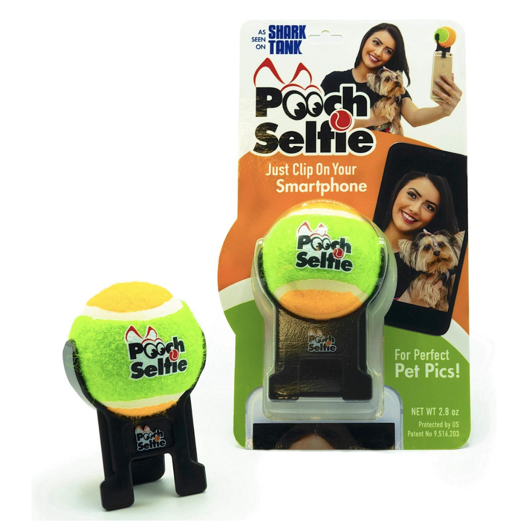 Pooch selfie - Pelota Verde