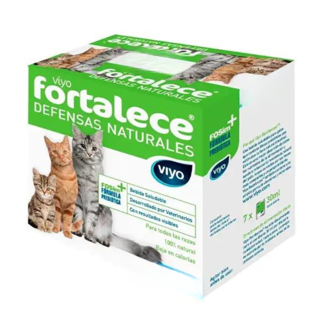 Viyo Fortalece - Gato