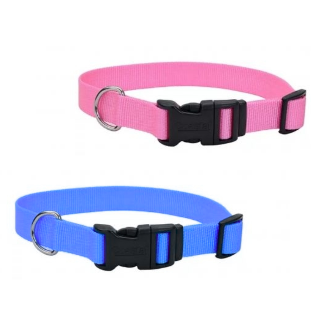 Coastal -  Collar Ajustable