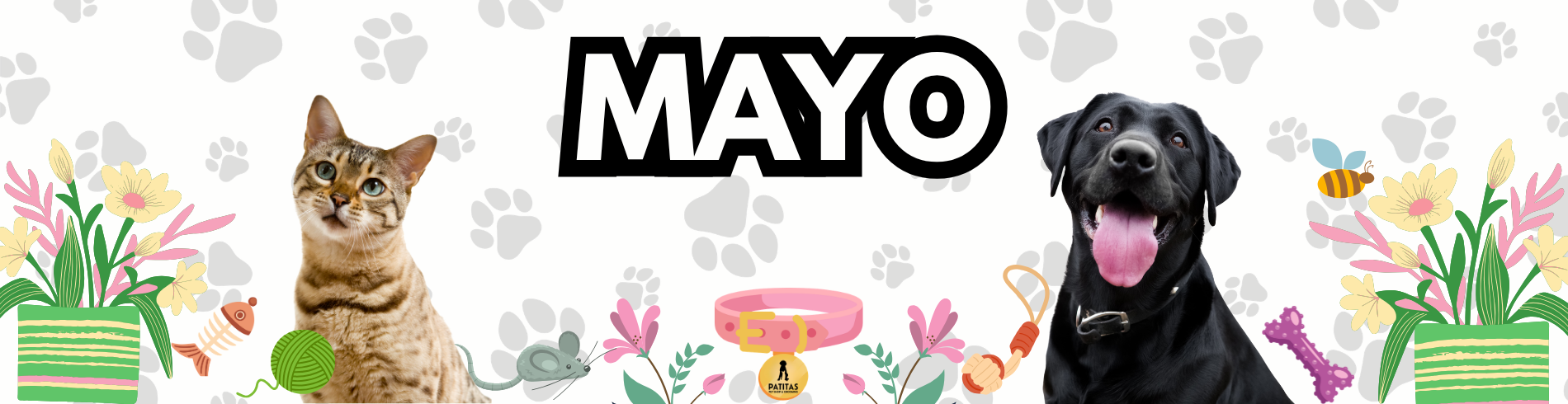MAYO 2026