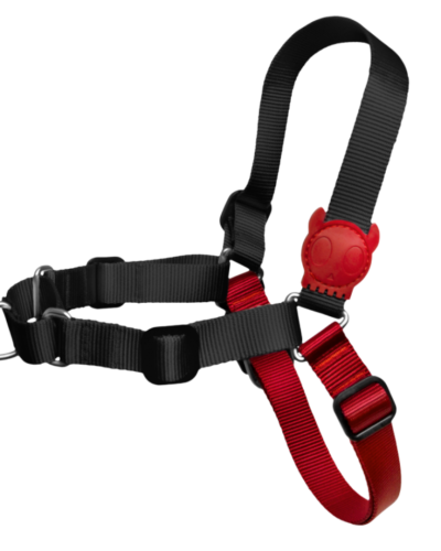 Zeedog - Arnés Soft Walk Fatboy