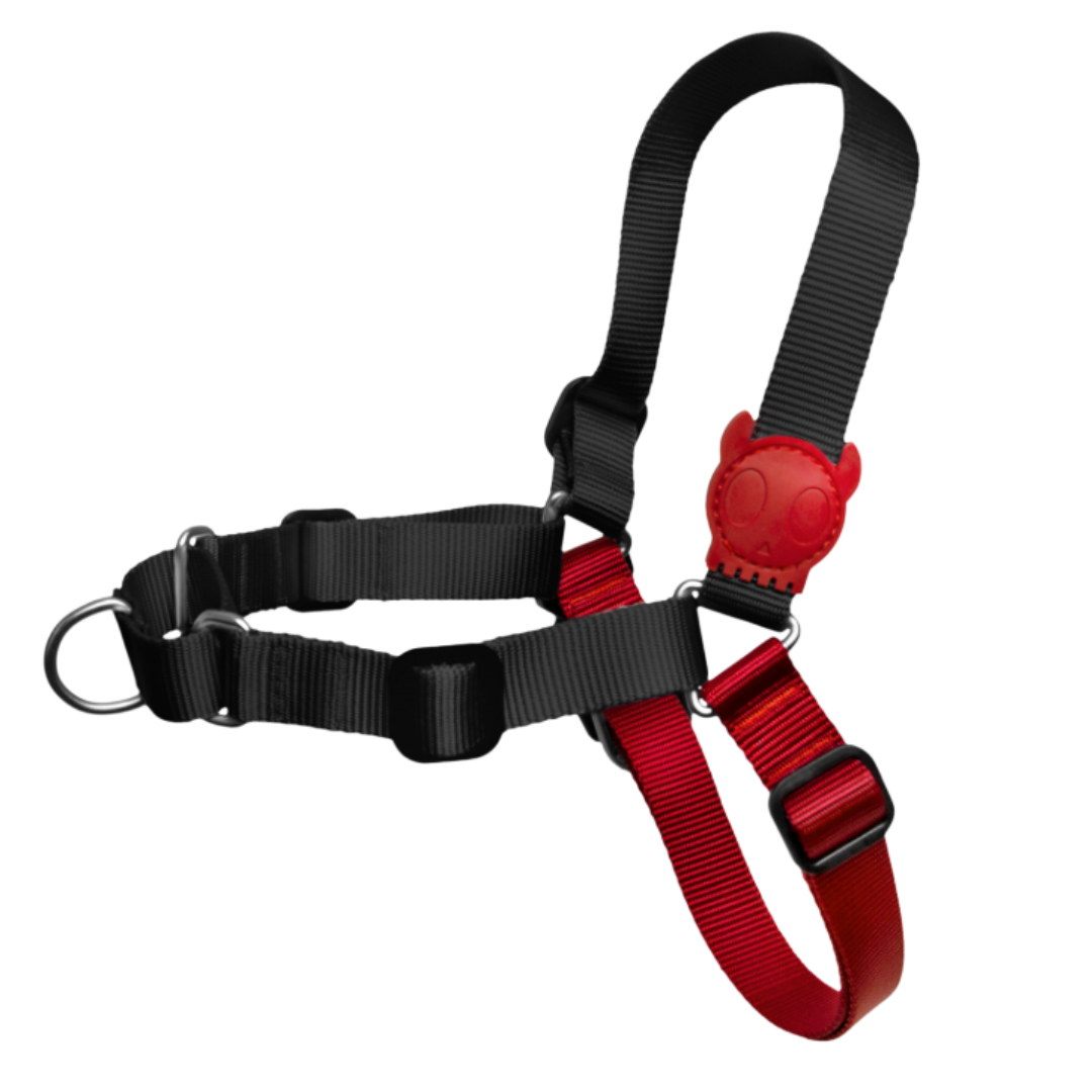 Zeedog - Arnés Soft Walk Fatboy