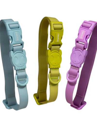 Zeedog - Collar NEOPRO