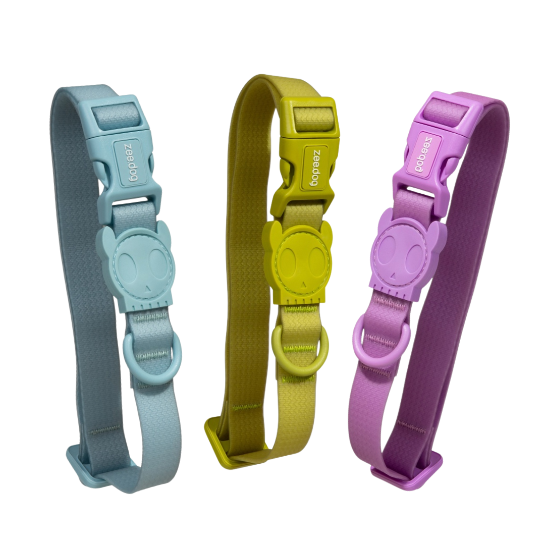 Zeedog - Collar NEOPRO
