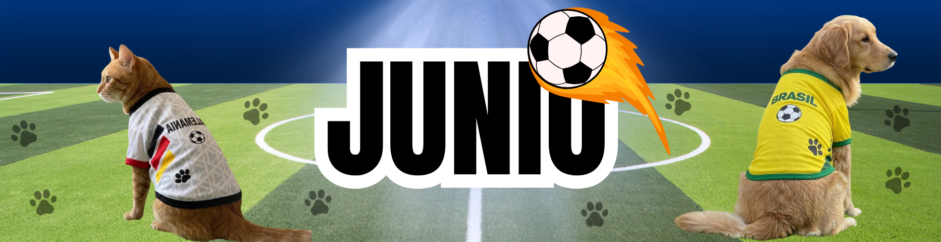 JUNIO 2026