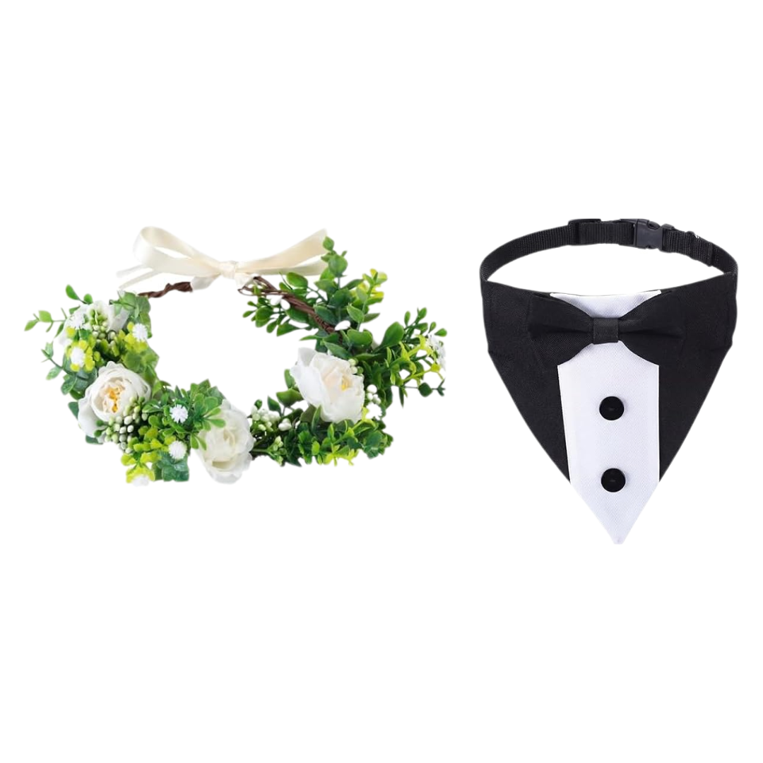 Kit Boda Para Macho y Hembra