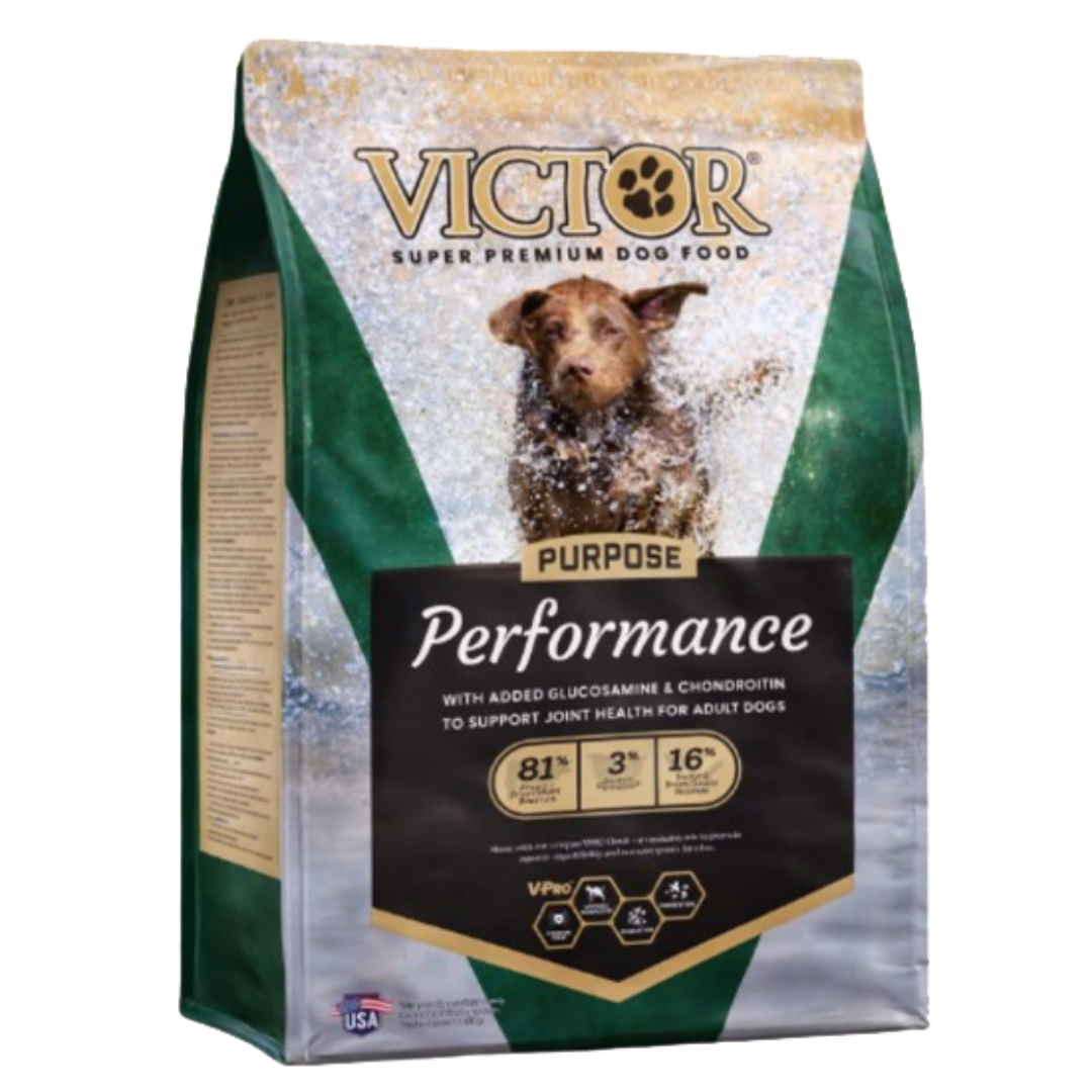 Victor  - Performance