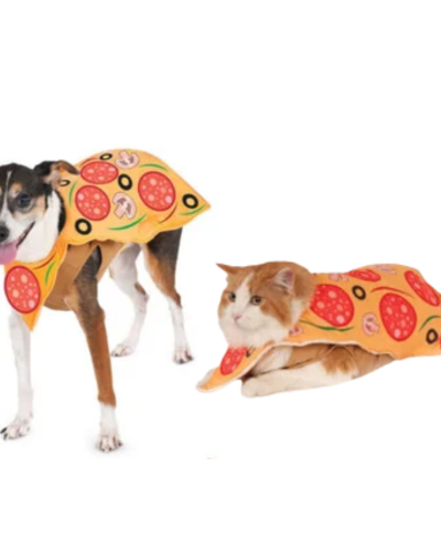 Disfraz de Pizza